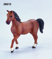 棕色馬