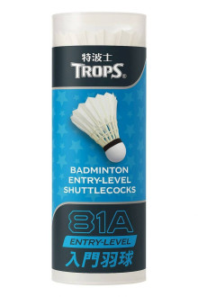 81A3入入門羽球45081A