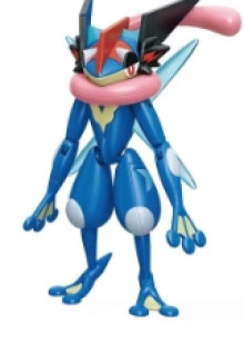 #O 戰鬥吧!寶可夢 第一彈 甲賀忍蛙