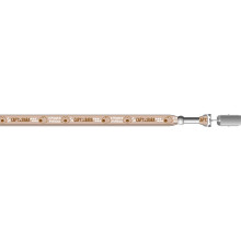 4款水豚識別帶CPJH0401-4